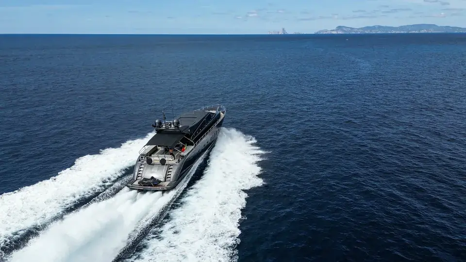 LEOPARD 102 — view 8