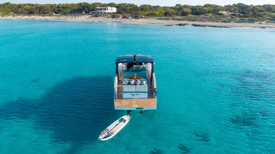 Tesoro T40 · Tigresa — view 6
